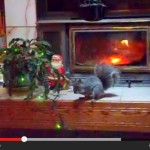 Rockie the plant-based fitness mascot’s 2012 Christmas video: ‘Rockie’s Naughty Christmas’