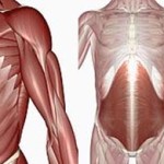 Flatter abs and the truth about belly pooch